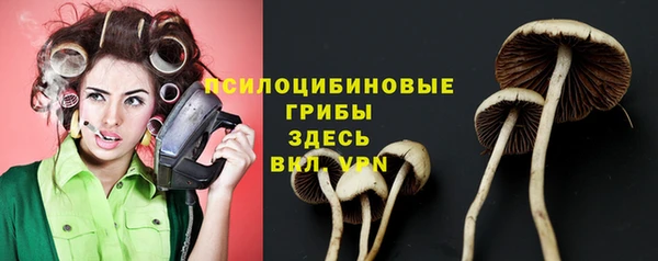 ALPHA-PVP Аркадак