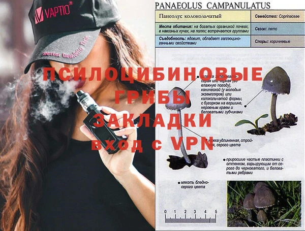 ALPHA-PVP Аркадак